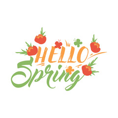 Text HELLO, SPRING and flowers on white background