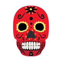 Painted human skull on white background. Mexico's Day of the Dead (El Dia de Muertos)