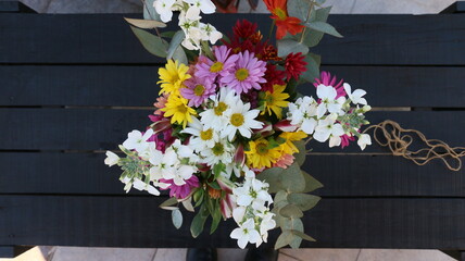 Cineraria, ramo de flores