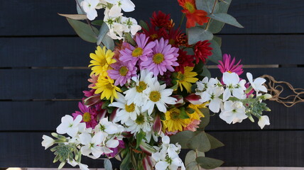 Cineraria, ramo de flores