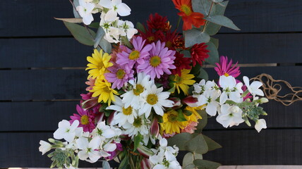 Cineraria, ramo de flores