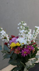 ramo de flores, Cineraria