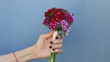 Clavel del poeta, ramo de novia, de claveles rosa y rojo