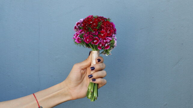 Clavel del poeta, ramo de novia, de claveles rosa y rojo