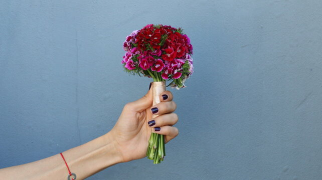 Clavel del poeta, ramo de novia, de claveles rosa y rojo