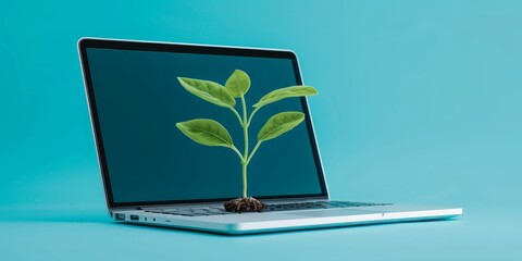 Laptop with plant seedling on keyboard on blue background