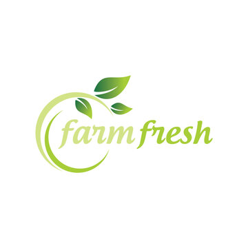 vector farm fresh green leafy food label design