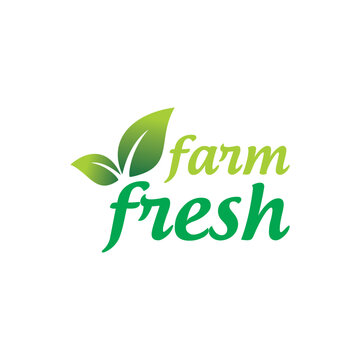 vector farm fresh green leafy food label design