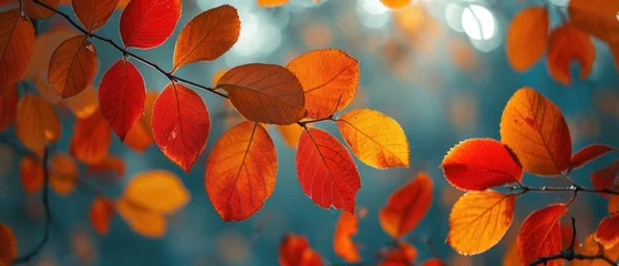 Papier Peint photo Rouge 2 Autumn's beauty unfolds with yellow, red, and orange leaves in a serene park, Ai Generated.