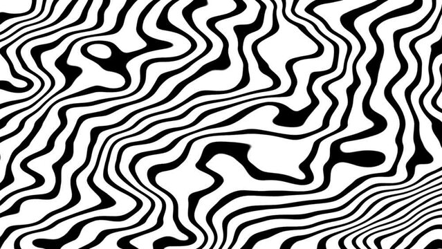 Animation of fluid texture of zebras. Abstract distorted wavy stripes