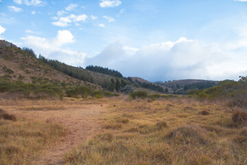 beautiful sunset in a field full of vegetation