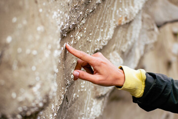 Close up female hand touch prehistorical artifacts-shell fossils in stone in Pantishara - Datvis...