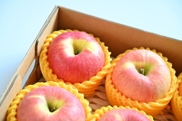 beautiful pink apple in the box on blue background