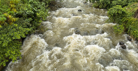 Natural river stream in Bogor tropical forest in Asia, beautiful scenery