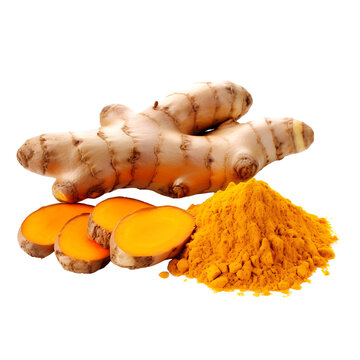 Turmeric Rhizome without Background Distractions