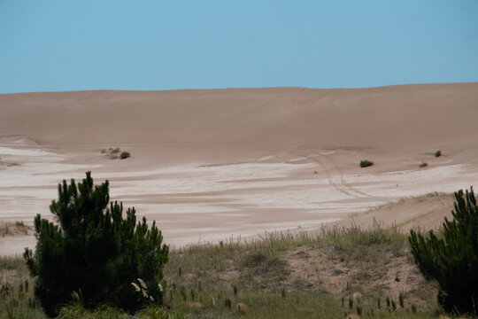 View of the sand dunes in Orense, near Tres Arroyos