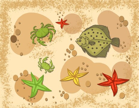 The seabed and some of its inhabitants (crabs, fish, and starfish).