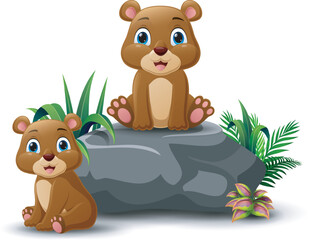 Cute baby bear cartoon sitting on the stone