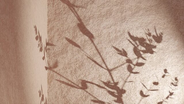 Plant leaf shadow on sandy brown corner wall  gently move from breeze wind 