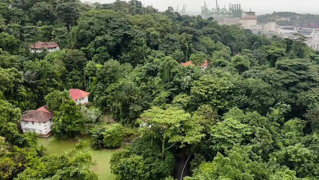 Gently Gliding Above the Treeline of Mount Faber in Singapore Aboard a Cable Car - POV