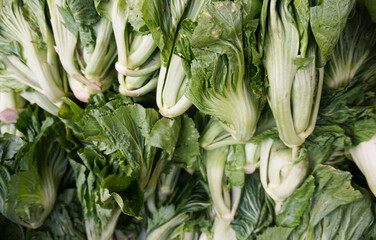 Bitter mustard greens freshly harvested from the garden.