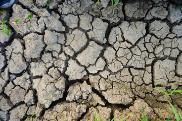 The land in rice fields has dried up due to the long dry season.