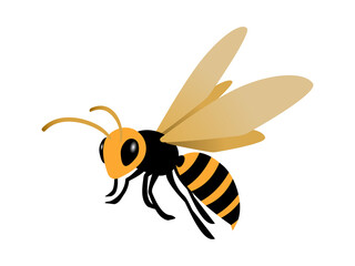 飛んでいるスズメバチのイラスト