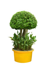 Light blue sky and white clouds. With copy space.	
