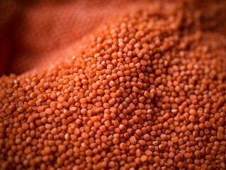 A macro shot capturing the vivid orange color and granular texture of raw lentils