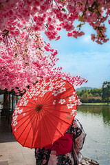 Asian girl in kimono and umbrella in Japanese theme park Hinoki Land in Chai Prakan District, Chiang Mai, Thailand