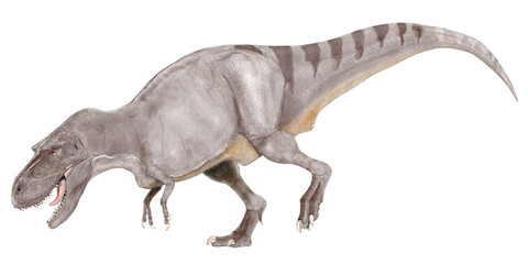 Obraz na płótnie Canvas ティラノサウルス科の大型肉食恐竜ゴルゴサウルス。アルバートサウルスと近縁のため、同種に含められたが、現在は単独の属として一種のみが認められている。オリジナル復元画像。