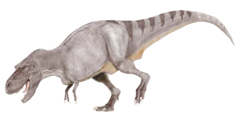 Fotobehang ティラノサウルス科の大型肉食恐竜ゴルゴサウルス。アルバートサウルスと近縁のため、同種に含められたが、現在は単独の属として一種のみが認められている。オリジナル復元画像。 © Mineo