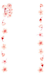 Watercolor hand drawn pink sakura flower vertical frame isolated on 