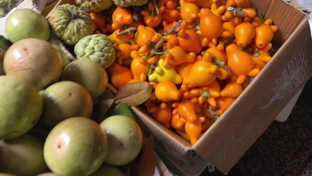 Strange bright orange in Vietnam during New Year's Sold on the street on the ground in boxes by traders at the market Before the New Year tet