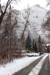 road in winter forest