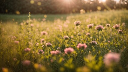 Obraz premium Floral Meadow Under Blue Sky: A vibrant, blooming meadow filled with colorful flowers, set against a backdrop of a clear blue sky in the midst of spring or summer