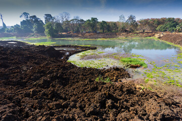  Old well established water pond surrounded by native plants and animals destroyed for extra...