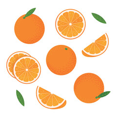 Vector orange fruit and set of orange slices