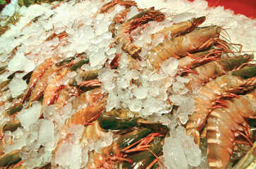 Raw tiger prawns preserved with ice at the seafood market.