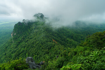 Misty Mountain Landscape with Fog: A serene view of fog-covered mountains amidst lush greenery and cloudy sky