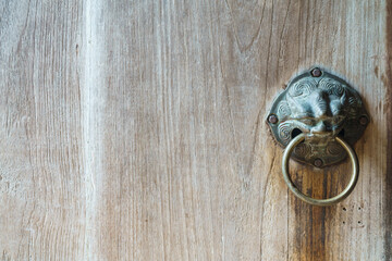 Vintage Lion Door Knocker and Handle on Old Wooden Door