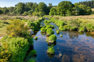Fototapeta premium Dartmoor, the West Dart River at Two Bridges, Devon, UK