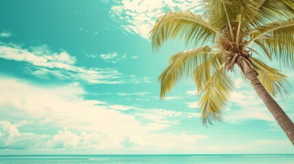 Fototapeta na wymiar Palm tree on tropical beach with blue sky and white clouds abstract background. Copy space of summer vacation and business travel concept. Vintage tone filter effect color style.