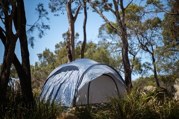 Cooking on a gas cooker at a campsite in the Forrest. Cooking outside on a blue camper trailer. Having fun in a tent in the bush in a national park in Sydney, nsw, Australia.