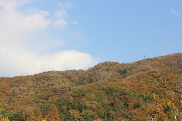 秋の風景　紅葉の山