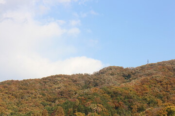 秋の風景　紅葉の山