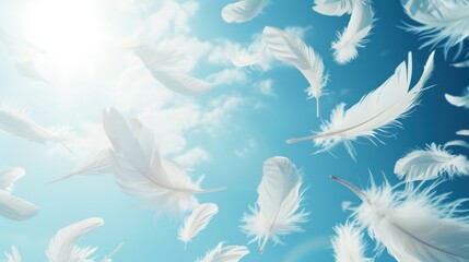 Fototapeta na wymiar Abstract white Dove feathers falling in blue sky