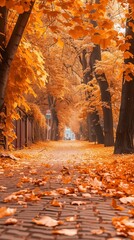 Autumn alley with beautiful golden colors and eaves 