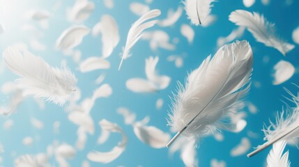 Close-up Abstract white feathers falling in blue sky