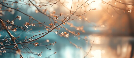 In winter, a tree branch, covered in electric blue leaves, hangs over freezing water, creating a picturesque event of nature.